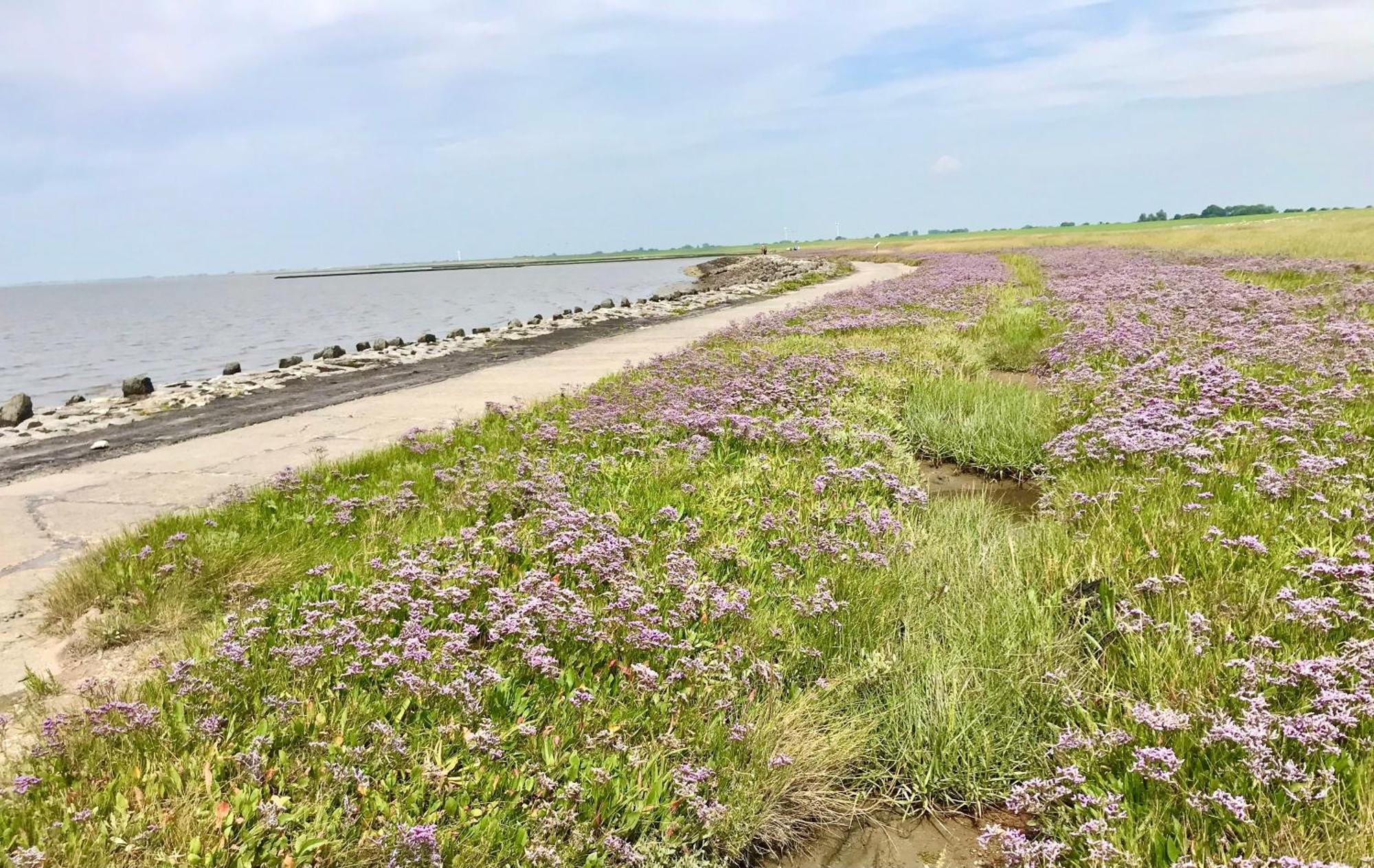 Haus Meerauszeit - Erholung An Der Nordsee Schweiburg Luaran gambar
