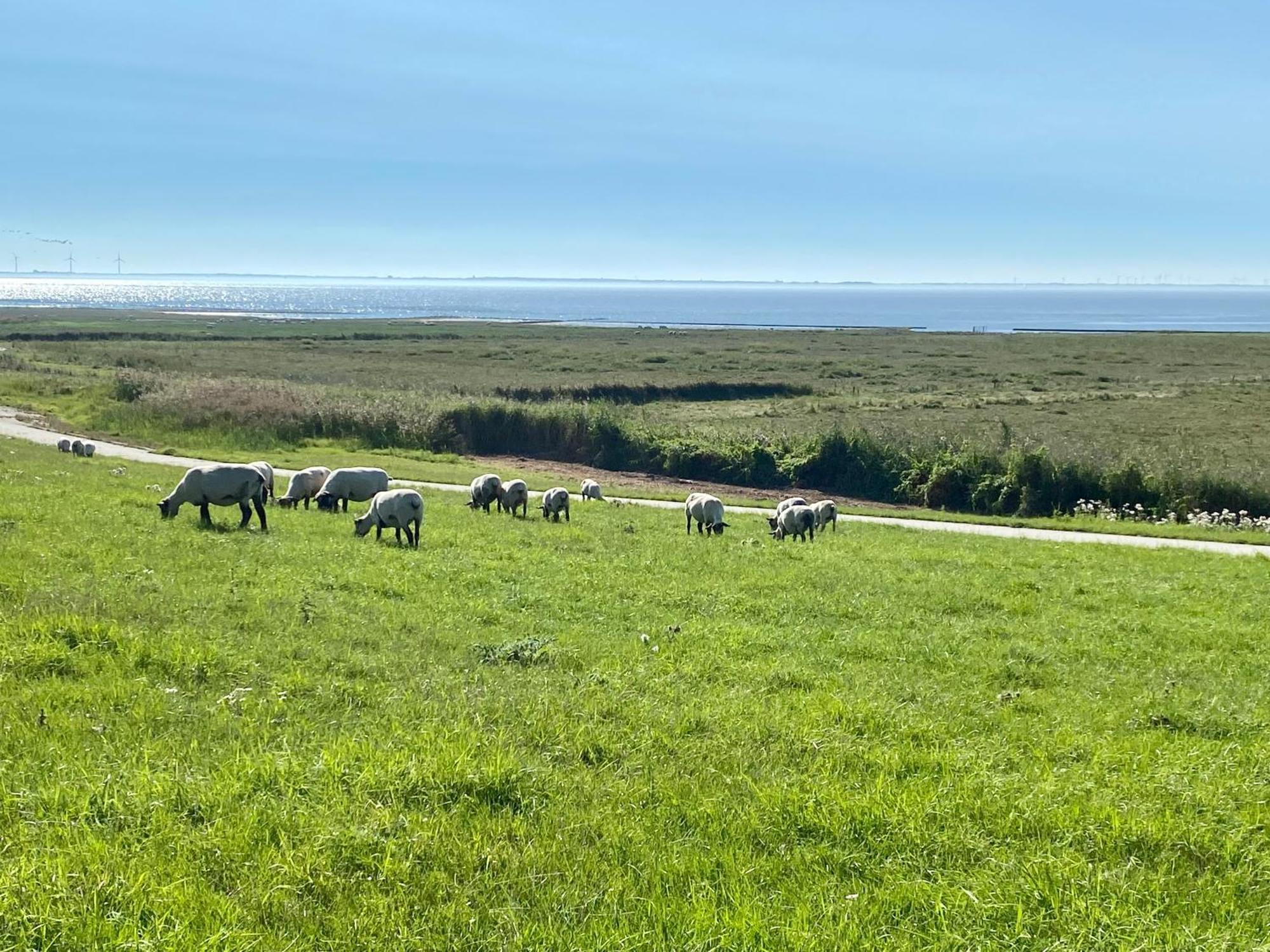 Haus Meerauszeit - Erholung An Der Nordsee Schweiburg Luaran gambar
